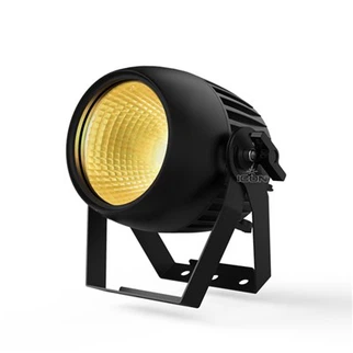 LED Theatre Cob 100 TW CW